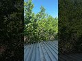 #trending #video #abroad #explore #almaty #kazakhstan #travel ##india