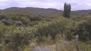 ¿ CONOCÉS AMBUL, EN CÓRDOBA?