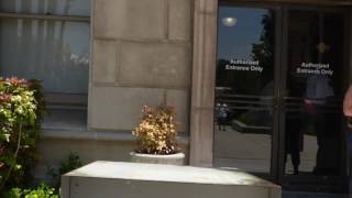 1st amendment Audit follow up San Bernardino Courthouse, told we need permission again by guard