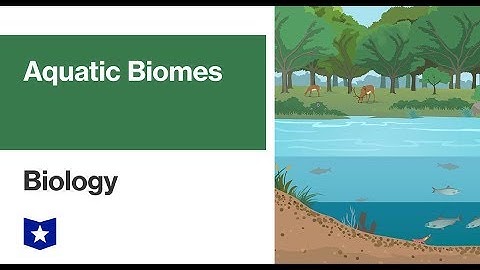 Aquatic Biomes | Biology
