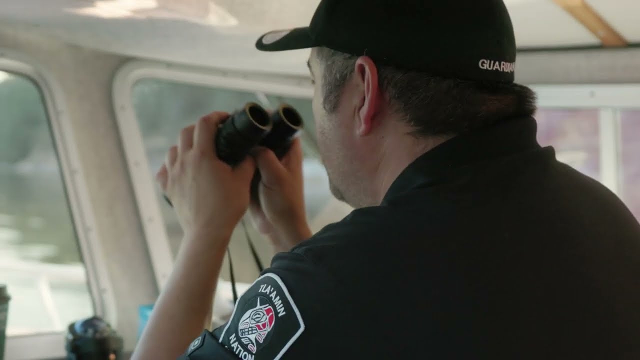 From Sea to Canopy: Safeguarding the Marbled Murrelet | Trailer