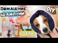 ДЕЛАЕМ НАТУРАЛЬНЫЕ ШАМПУНИ ДЛЯ СОБАК СВОИМИ РУКАМИ  | 3 разных рецепта домашних шампуней