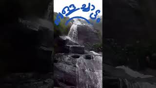 #vellachattam #waterfall #viralshort #travel