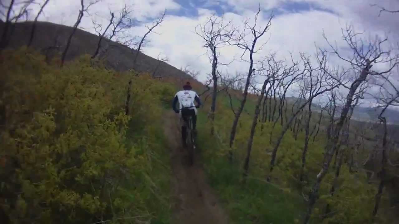 2011 ICUP 6th Annual Stan Crane Memorial XC Mountain Bike Race YouTube