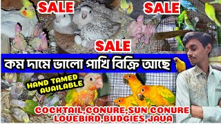 কম দামে ভালো পাখি বিক্রি আছে | Hand Tamed Available |Cocktails , Conure , Lovebird , Java , Budgies