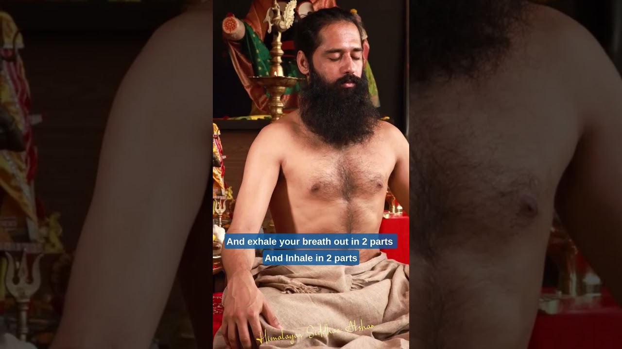 1 Powerful Pranayama to Increase Our Stamina || By Himalayan Siddhaa Akshar #shorts