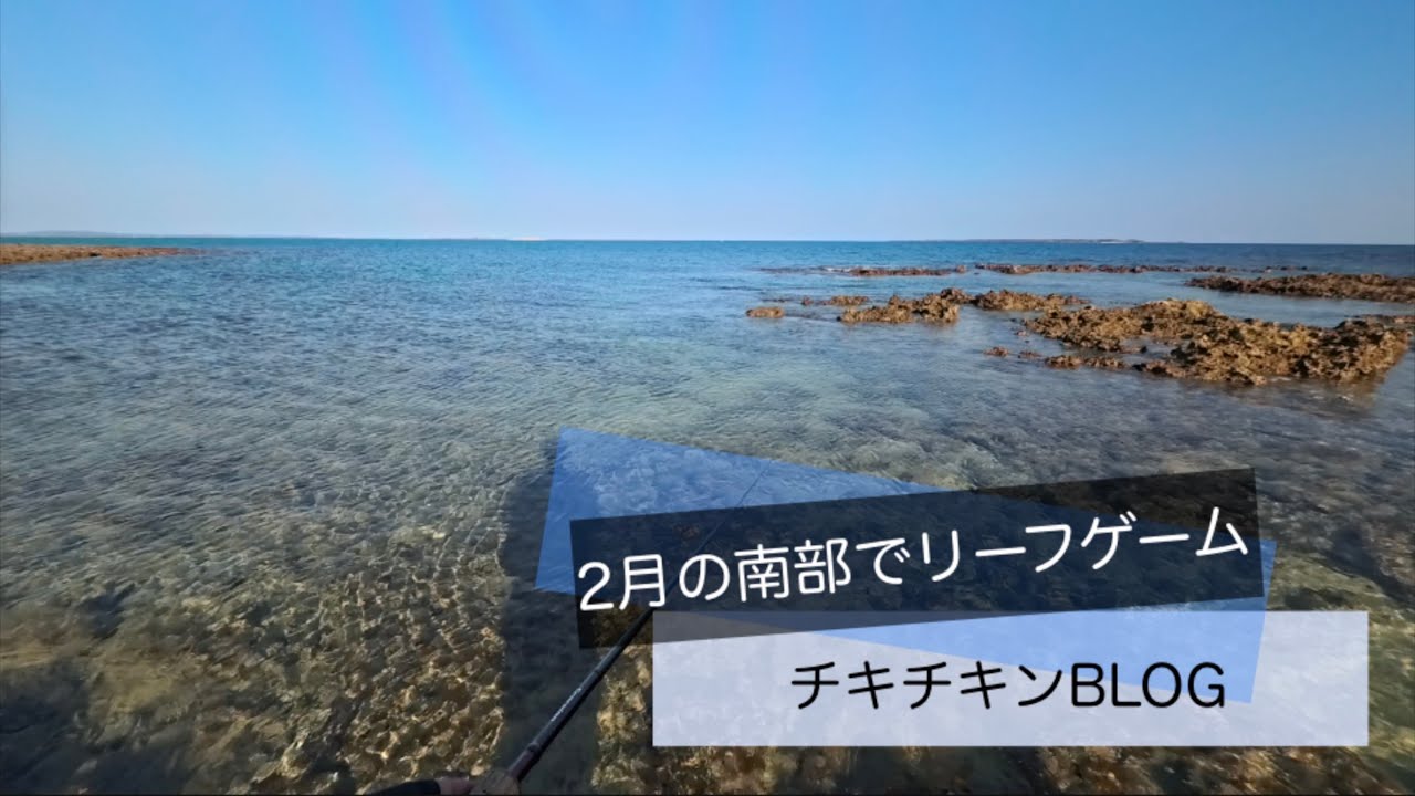 ［沖縄］2月の南部でリーフゲーム［ルアーフィッシング］#沖縄 #釣り #ルアー釣り #fishing #fishingvideo 