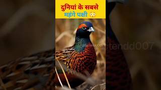 5 Most Expensive 💰 Birds 🕊️ in The World 🌎 | Must Watch 😳😲 #viral #trending #shorts