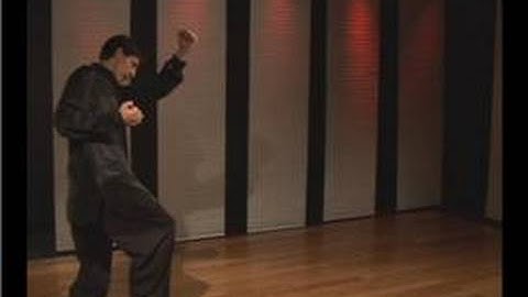 Kung Fu Fighting : Praying Mantis Outside Forearm Block Counter Punch Step Up