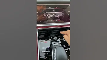تشوفها ميزه ايجابية او لا في بورش ابولوكا Abuluka بورش Porsche 
