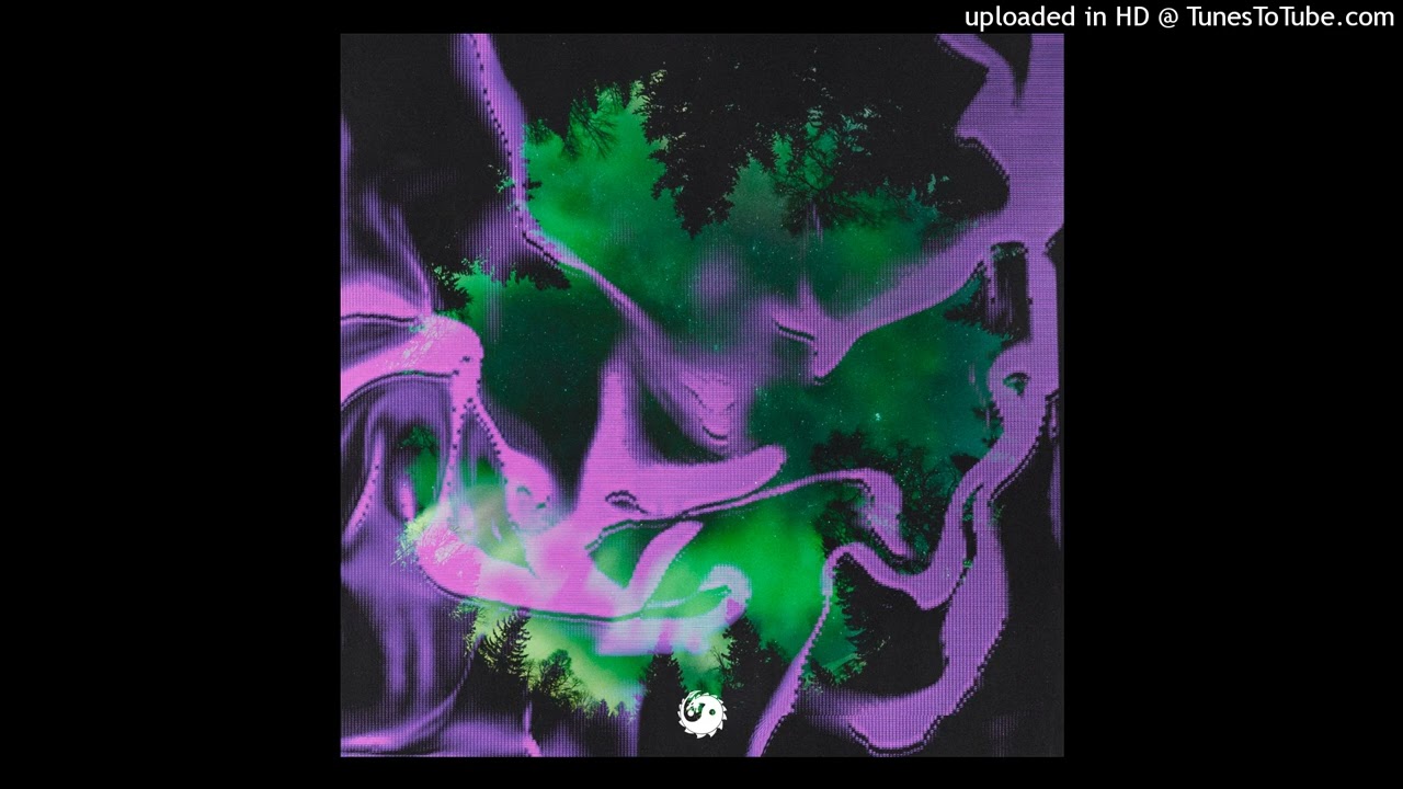 Third ≡ Party - Northern Lights Vs. Starlight - Martin Garrix & Dubvision (Mashup Edit DragonMusix)