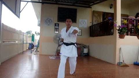 3rd Kyu Brown Belt Grading Pt 1