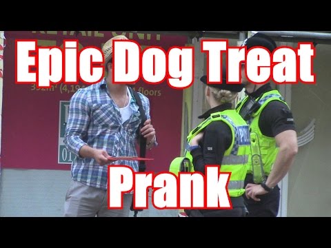 epic-dog-treat-prank