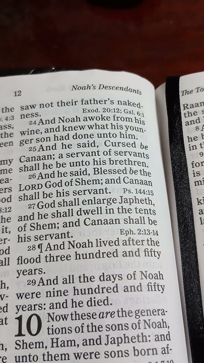 genesis-chapter-9-verse-25-29-bible-bibleverses-biblereadings-youtube