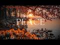 RESTORATION &amp; PEACE | Deep sleep soaking worship instrumental | Relaxing