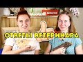 ОТВЕЧАЕТ ВЕТЕРИНАР Специалист По Грызунам РОДЕНТОЛОГ: КУПАНИЕ МОРСКИХ СВИНОК, БОЛЕЗНИ, НАПОЛНИТЕЛЬ