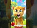 talking ginger gameplay funny cat video talkingtomversion talking ginger gameplay funny cat video talkingtomversion