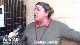 WEB 2.0 TV  Furry World: Toronto Humane Society - Cats