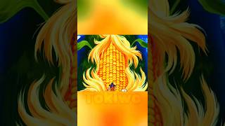 Esse Milho Gigante Fez Uma Chuva De Pipocas