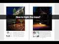 How to highlight the trees?