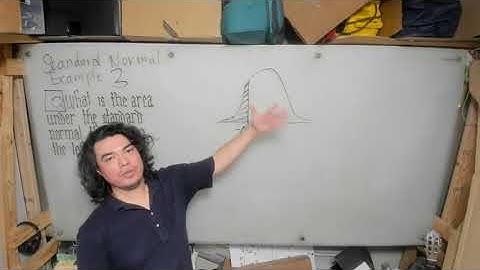 Video 10: Standard Normal Example 3