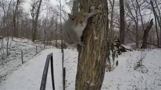⁴ᴷ Timelapse Walking Central Park, Nyc In The Snow To Belvedere Castle