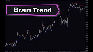 Brain Trend Forex Indicator MT4 - Best Review For 1 Minute