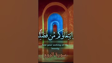 سورة الروم #اكسبلور #القزابري #الرحمن #دويتو #المصحف #تيك_توك #حالات_واتس #صباح_الخير #لايك