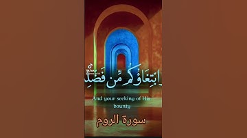 سورة الروم #اكسبلور #القزابري #الرحمن #دويتو #المصحف #تيك_توك #حالات_واتس #صباح_الخير #لايك
