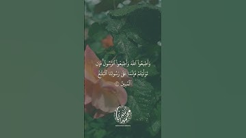 #قرآن #quran #لايك #تلاوات #راحة_نفسية #تلاوات_خاشعة #islamicvideo #islam #islamic #like