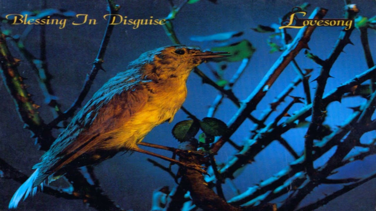 Blessing In Disguise - Lovesong (Radio Edit) - YouTube