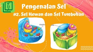 Pengenalan sel #2  Sel hewan dan sel tumbuhan