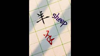 硬筆書法教學：楷書“羊”VS草書“羊”#calligraphy #funny #練字 #中性筆 #書法 #handwriting #art #中文 #漢字 #書道 #書道家 #硬筆書法 #草書