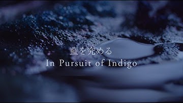 藍を究める In Pursuit of Indigo:  Japanese ikat /Traditional technique (hand weaving, natural indigo dye)