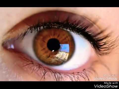 چاو جوانەکەم ئیسۆو خۆم