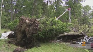 Cleaning Up After Storms In Morris County, NJ