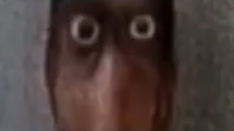 The worst player playing apex  part 2😅