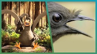 Lyrebird Meets Attenborough ft. Aardman Animations #Attenborough90 | BBC Earth Unplugged