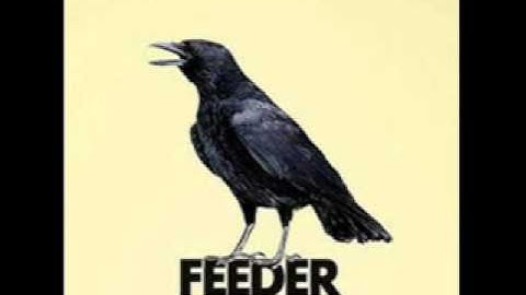 Feeder - Tracing Lines live