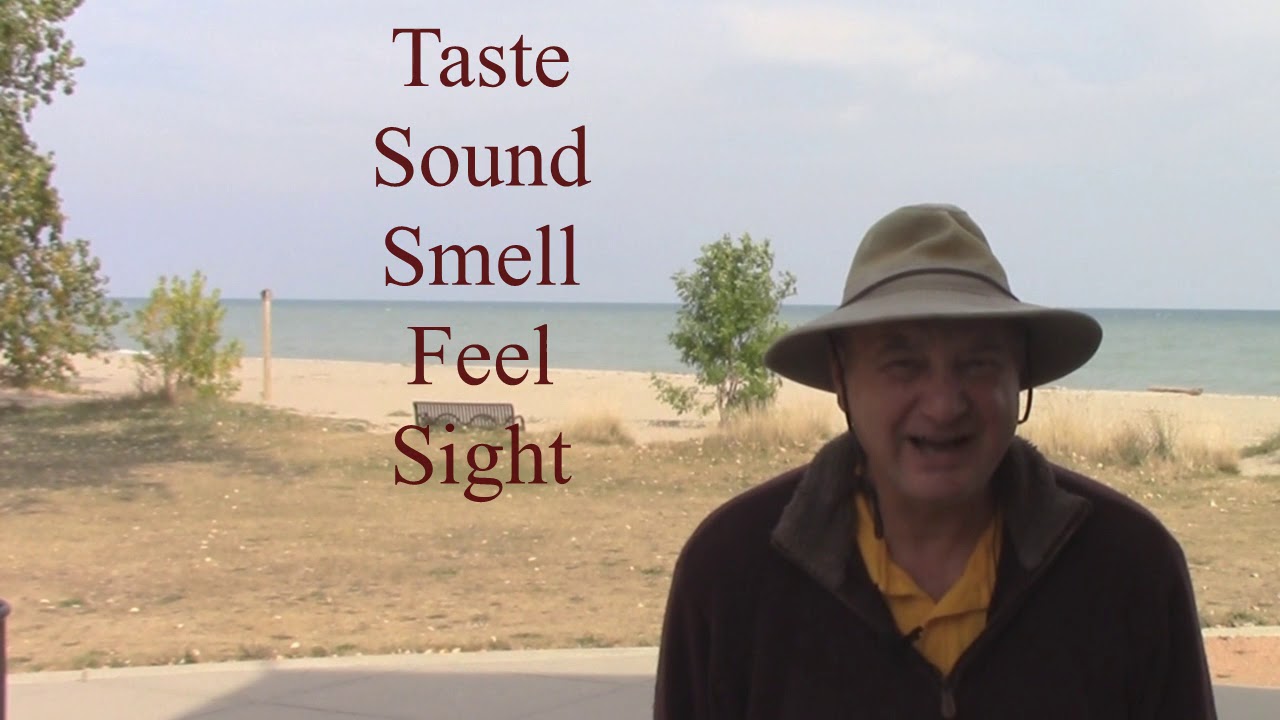 How did I become the Vagabond Epicurean?