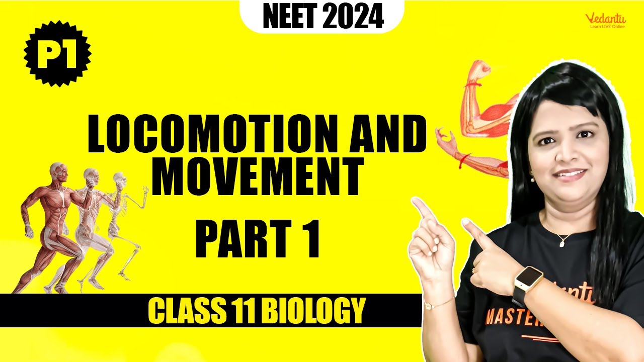 Locomotion and movement Part 1 | Class 11 Biology | NEET 2024 | Parveen ...