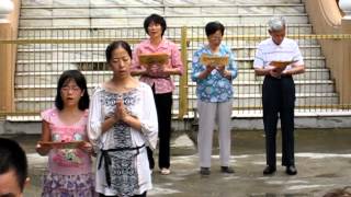 泰國湄南河畔護生讀書會20120930放生 4