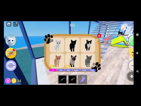 COMPREI o GATOS GUERREIROS: ULTIMATE no ROBLOX! MELHOR JOGO de