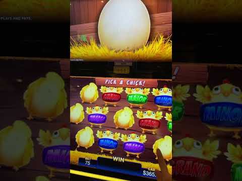 Tropicana Havana Tower COMP Room Tour + Hard Rock VIP Icon Lounge & Casino Play!