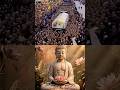 Pray for peace #peace #pray #buddhism1986