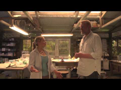 bindi-irwin:-return-to-nim's-island-set-tour