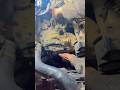 Manual gearbox fitting #automobile #cars #autorepair