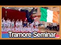 Taekwondo Seminar/Workshop in Tramore 🇮🇪Ginger Ninja Trickster