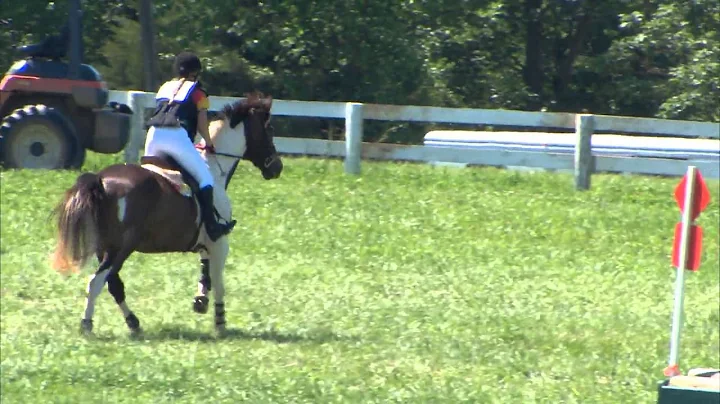 Lauren Hazlett "Country Noah" Seneca Valley Pony C...