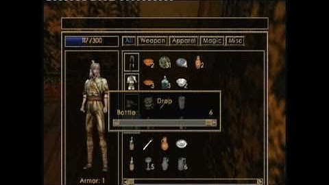 Morrowind Getting started {part1}